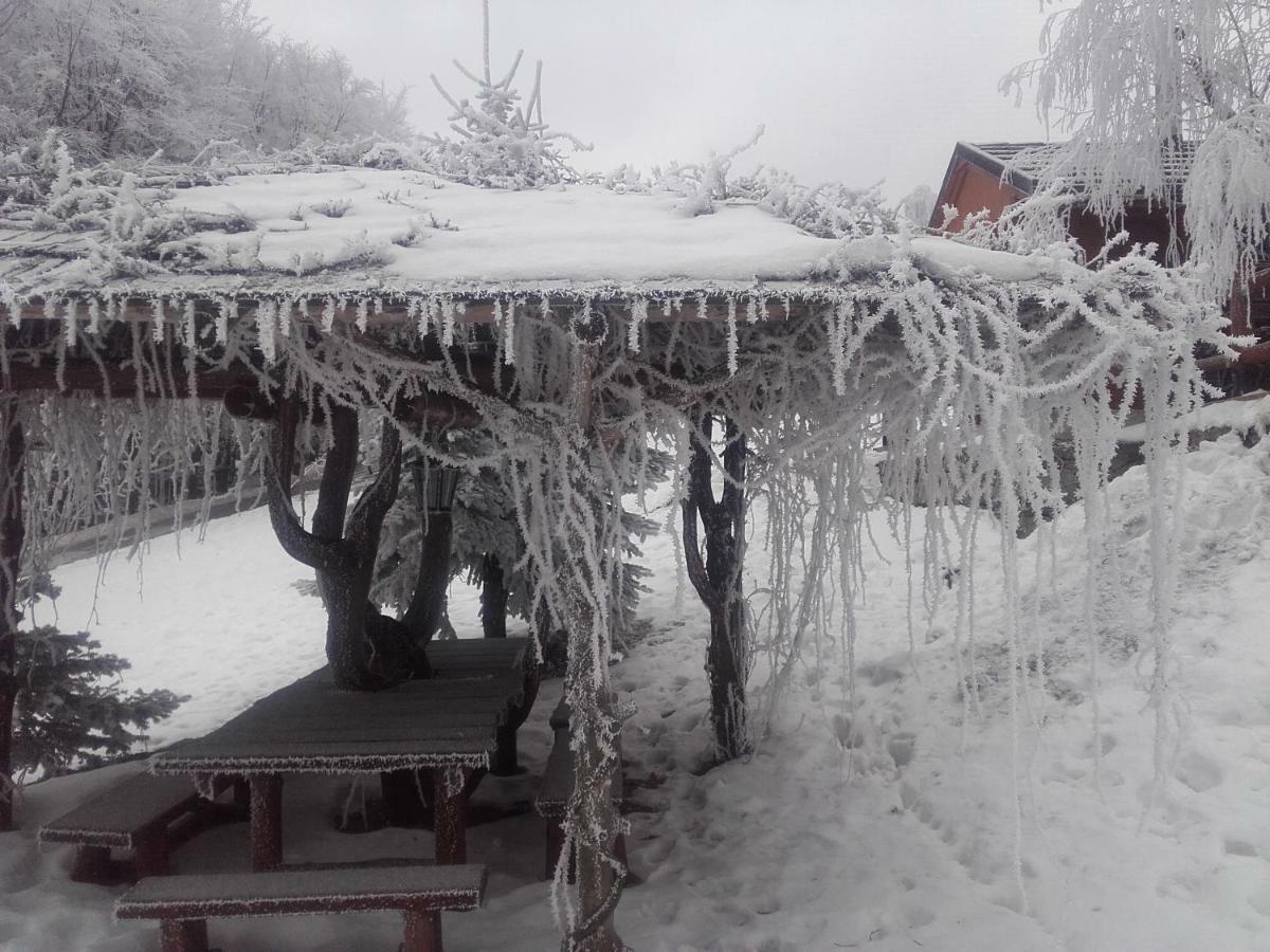 Chata Na Groniu Meszna Extérieur photo